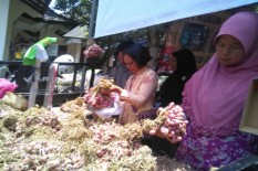 Sleman Tak Cocok untuk Lahan Bawang Putih