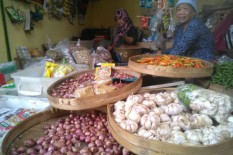 Harga Bawang Kating Berangsur Turun