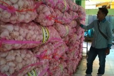 Janji Pemerintah, Harga Bawang Putih Stabil 2 Hari Lagi