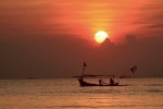 Terjaring Jaring Petani, Ikan Duyung Mati dan Dagingnya Dibagi-Bagi
