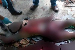  Bubuk Mesiu Meledak saat Diracik untuk Bikin Mercon, Satu Tewas dan 2 Luka Berat