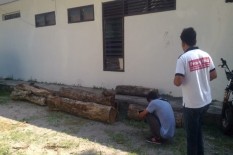 Kades di Ngawi Diduga Terlibat Pencurian Kayu