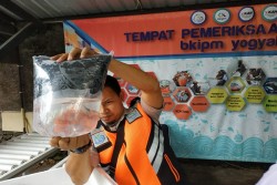 Lalu Lintas Benih Ikan di DIY Meningkat Tajam,  Ini Jenis Permintaannya..