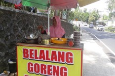 Tip Beli Belalang Goreng di Gunungkidul