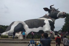 Patung Sapi Ndhekem Boyolali Curi Perhatian Pemudik. Apa Isi Perutnya? 