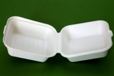 ADUPI Tepis Anggapan Styrofoam Penyebab Kanker