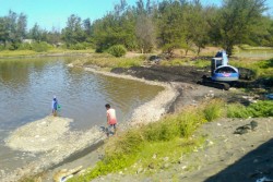 Ribuan Ikan Mati karena Faktor Alam, Petambak di Kulonprogo Tidak Kapok