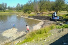 Bantul Targetkan Ikan Hasil Budi Daya Capai 12.300 Ton