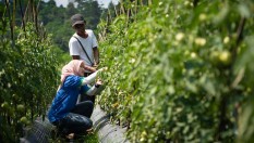 OPINI: Modernisasi Pertanian Era Revolusi Industri 4.0