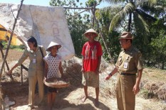400 Hektare Lahan Padi di Gunungkidul Puso, Kementan Siapkan Benih Cadangan