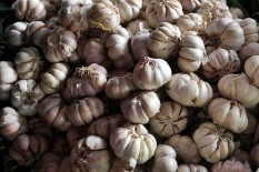 Kementan Masukkan 38 Importir Bawang Putih ke Daftar Hitam