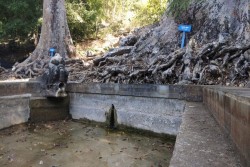 2 Kolam di Sendang Surocolo Bantul Kering Kerontang