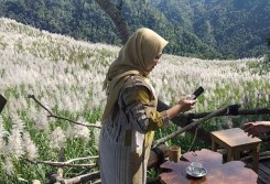 Ini Waktu Terbaik untuk Menikmati Kebun Tebu Gendu, Objek Wisata Anyar di Kulonprogo 