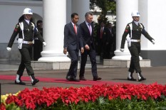 Jokowi Ingin Salak, Manggis, Nanas Masuk Argentina