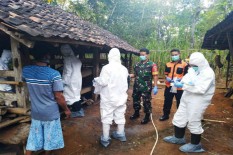 Antraks Masih Mengancam, Sapi Mati Mendadak Kembali Ditemukan di Grogol 4