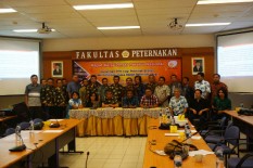 PPN: Industri Ayam Broiler Tak Sehat