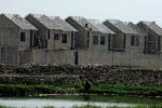 Di Barito Utara, ASN Diajak Manfaatkan Lahan Telantar untuk Budi Daya Tanaman