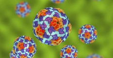 Ini Fakta-Fakta Seputar Hepatitis A