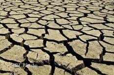 6 Kecamatan di Wonogiri, Klaten, dan Magelang Alami Kekeringan Ekstrem