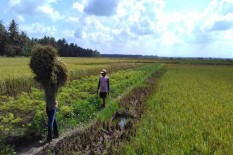 Program Inovasi Desa, Gunungkidul Raih Predikat Terbaik Se-Indonesia