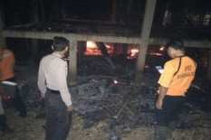 4.000 Ekor Ayam Hangus Akibat Kandang Terbakar 