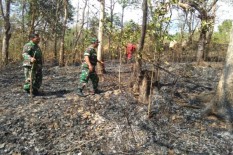Hutan Gunung Belik Lesung di Bulu Sukoharjo Hangus, Ini Penyebabnya