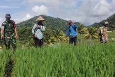 Berkumpulnya Ratusan Petani di Sleman Diharapkan Memotivasi Pengembangan Agribisnis