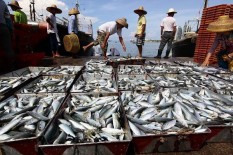 Parahnya Sampah di Laut Indonesia, Ikan Dibelah yang Ditemukan Sendok dan Plastik
