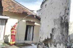 Setiap Hari, Damkar Sukoharjo Sibuk Urusi Tawon 