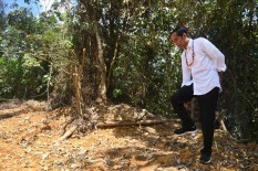 Kalimantan Calon Ibu Kota Baru, Begini Penilaian Bappenas ...