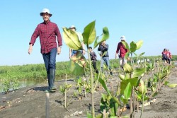 Gerah Lihat Sampah di Kawasan Mangrove, Ganjar Akan Gelar Kongres di Jateng