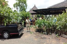 Zero Waste Indonesia Kembali Gencarkan Kampanye Peduli Lingkungan