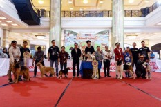 Begini Ramainya Event Animal Kingdom SCH
