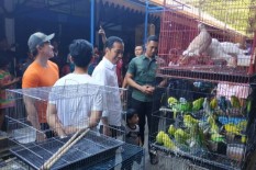 Gibran dan Kaesang Masuk Daftar Figur Potensial Calon Wali Kota Solo