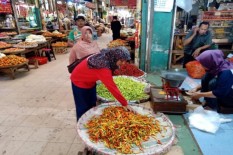 Harga Cabai Tembus Rp70.000/Kg, Serasa Beli Emas