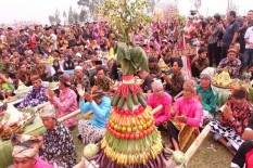 Mulai Panen Tembakau, Petani Minta Pemerintah Batasi Impor