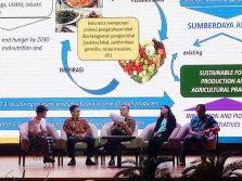 Konsumsi Beras Terus Meningkat, Puluhan Sumber Pangan Lain Tersisihkan