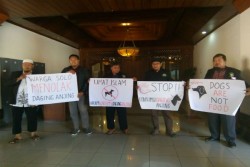 Dewan Syariah Sebut 13.700 Anjing Dikonsumsi di Solo Tiap Bulannya
