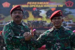 Brigjen Rochadi Jadi Komandan Koopsus