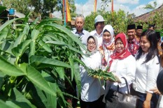 Berkat Bioflog, Warga Kepek Bisa Panen Lele dan Sayuran