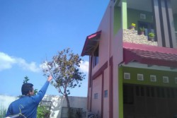  Warga Wates Resah dengan Monyet Ekor Panjang yang Masuk Pemukiman