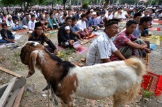 Hari Raya Kurban Ditetapkan 11 Agustus 2019