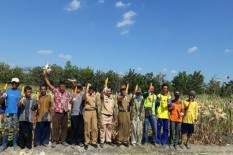 Sasaran Program Ketahanan Pangan Fokus di Desa Tegalrejo dan Watugajah