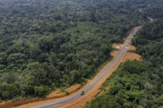 Ini 3 Opsi Lokasi Calon Ibu Kota Baru di Kalimantan
