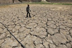 Kekeringan Meteorologis Melanda 3 Lumbung Padi Terbesar di Jawa
