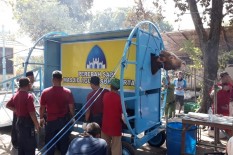 Sapi Kurban Jokowi Terlalu Gemuk, Masjid Agung Solo Batal Gunakan Alat Perebah 
