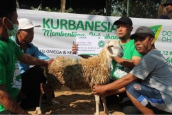 Jasa Kurban Digital Meningkat Signifikan