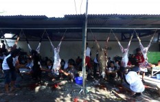 86 Ekor Hewan Kurban di Kulonprogo Ditemukan Terserang Cacing Hati