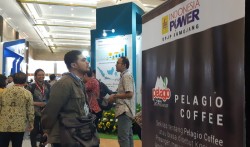 Indonesia Sudah Punya Pembangkit Listrik Panas Bumi, tapi Perkembangannya Lambat