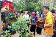 Warga Baleharjo Gunungkidul Kembangkan Kawasan Rumah Pangan Lestari 